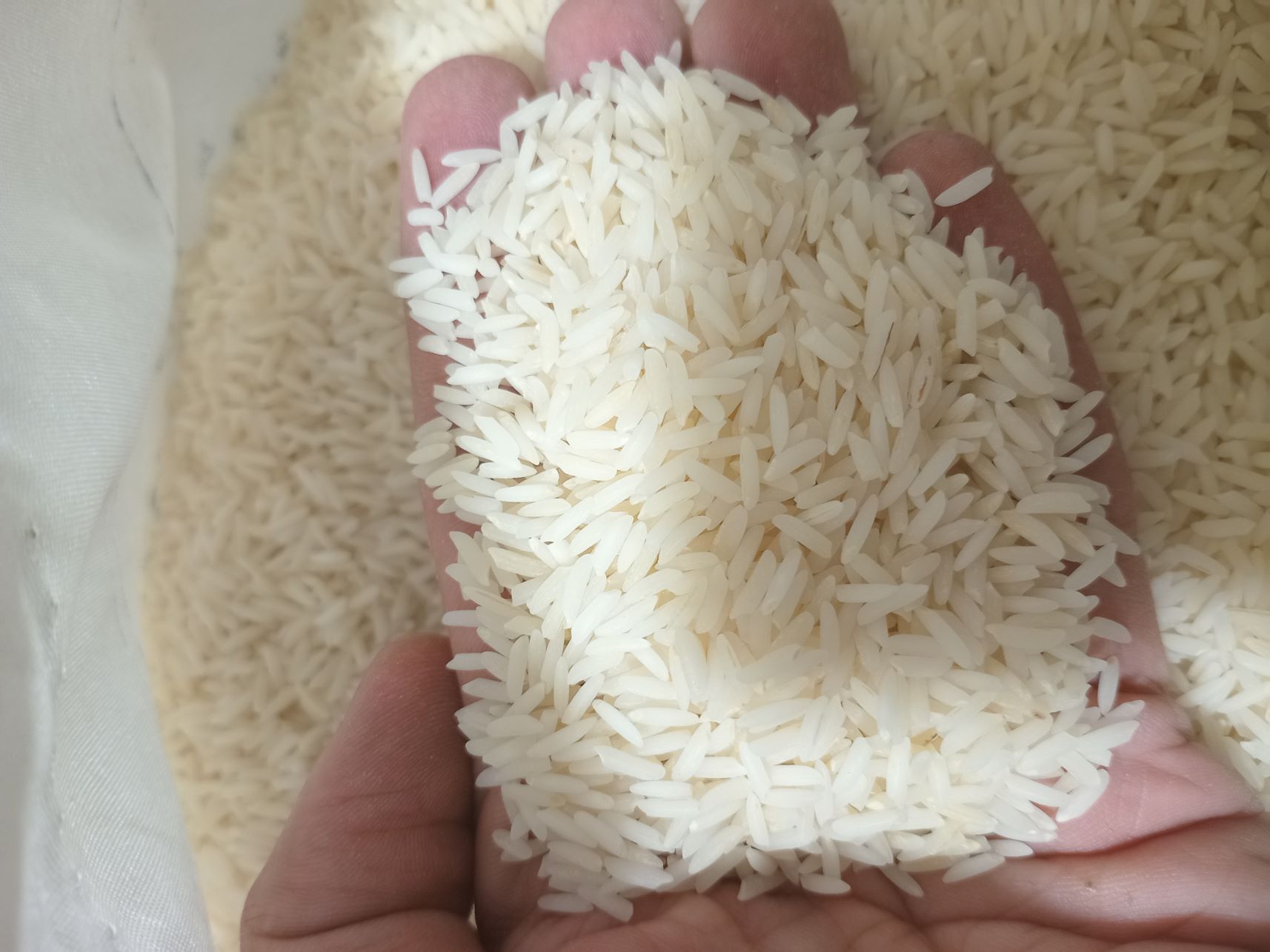 برنج هاشمی